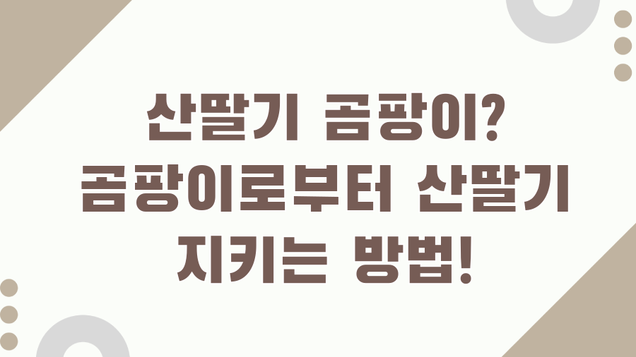 산딸기 곰팡이? 곰팡이로부터 산딸기 지키는 방법!