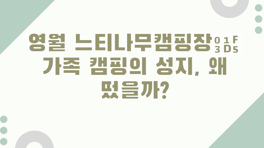 영월 느티나무캠핑장🏕️ 가족 캠핑의 성지, 왜 떴을까?